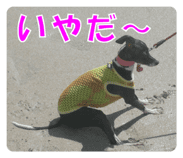 Sub Sign Dog Fia sticker #13832539