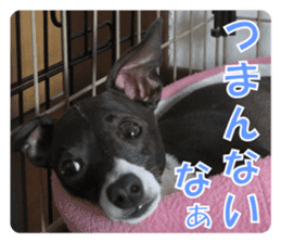 Sub Sign Dog Fia sticker #13832544