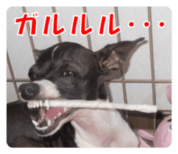 Sub Sign Dog Fia sticker #13832545