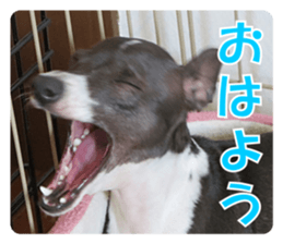 Sub Sign Dog Fia sticker #13832548