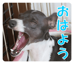 Sub Sign Dog Fia sticker #13832548