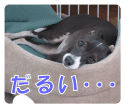 Sub Sign Dog Fia sticker #13832550