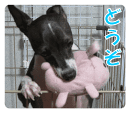 Sub Sign Dog Fia sticker #13832553