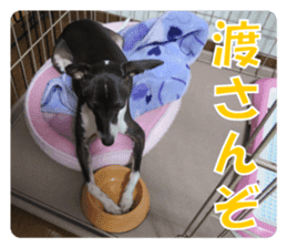 Sub Sign Dog Fia sticker #13832554