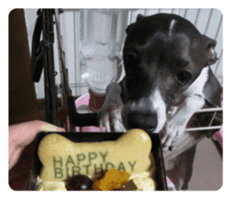 Sub Sign Dog Fia sticker #13832559