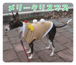 Sub Sign Dog Fia sticker #13832560