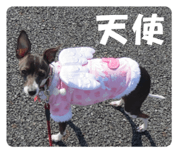 Sub Sign Dog Fia sticker #13832561