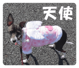 Sub Sign Dog Fia sticker #13832561