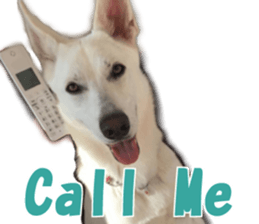 LOTUS sticker #13832958