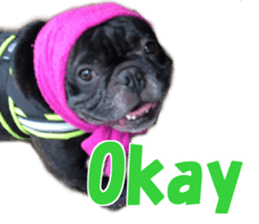 LOTUS sticker #13832961