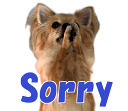 LOTUS sticker #13832962