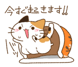 Cat is very cute 5 sticker #13833309