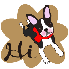 Always be with you! Boston Terrier 2eng