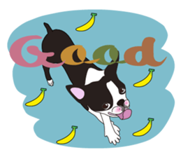 Always be with you! Boston Terrier 2eng sticker #13834352