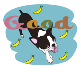 Always be with you! Boston Terrier 2eng sticker #13834352