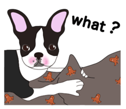 Always be with you! Boston Terrier 2eng sticker #13834359