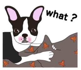 Always be with you! Boston Terrier 2eng sticker #13834359