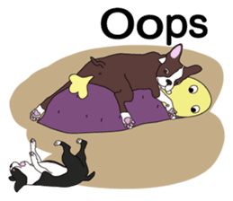 Always be with you! Boston Terrier 2eng sticker #13834367