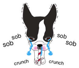 Always be with you! Boston Terrier 2eng sticker #13834368