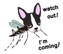 Always be with you! Boston Terrier 2eng sticker #13834369