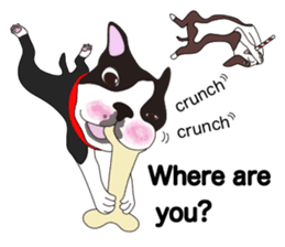 Always be with you! Boston Terrier 2eng sticker #13834382