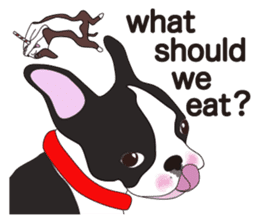 Always be with you! Boston Terrier 2eng sticker #13834385