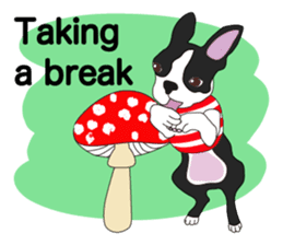 Always be with you! Boston Terrier 2eng sticker #13834388