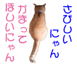 happy cat cat sticker #13835819