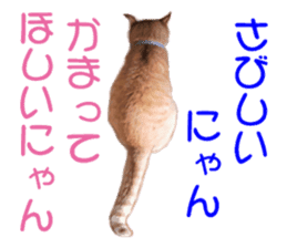 happy cat cat sticker #13835819
