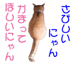 happy cat cat sticker #13835819
