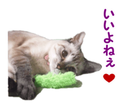 Mimi&Ham&Ten&Gackt sticker #13836824