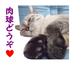 Mimi&Ham&Ten&Gackt sticker #13836826