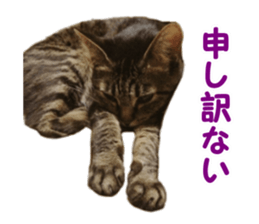 Mimi&Ham&Ten&Gackt sticker #13836827