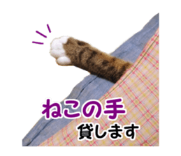 Mimi&Ham&Ten&Gackt sticker #13836831