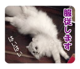 Mimi&Ham&Ten&Gackt sticker #13836839