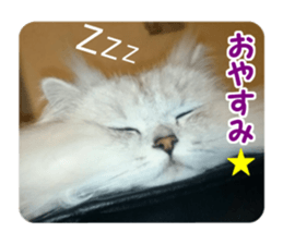 Mimi&Ham&Ten&Gackt sticker #13836840