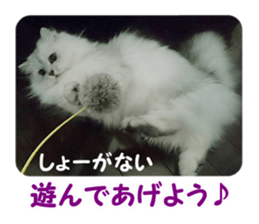 Mimi&Ham&Ten&Gackt sticker #13836842