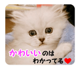 Mimi&Ham&Ten&Gackt sticker #13836843