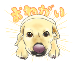 Dana Friends~part 1 sticker #13837000