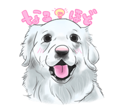 Dana Friends~part 1 sticker #13837001