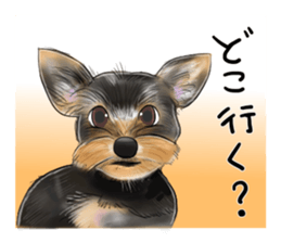 Dana Friends~part 1 sticker #13837006