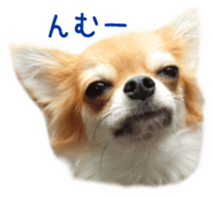 Sticker of Cereza 3 sticker #13837304