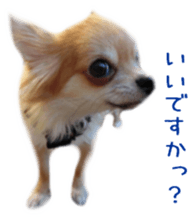 Sticker of Cereza 3 sticker #13837307