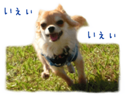 Sticker of Cereza 3 sticker #13837308