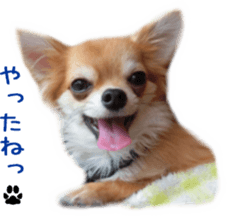 Sticker of Cereza 3 sticker #13837309