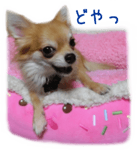 Sticker of Cereza 3 sticker #13837317