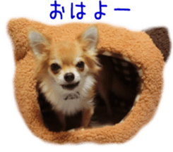 Sticker of Cereza 3 sticker #13837320