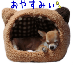 Sticker of Cereza 3 sticker #13837322