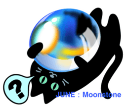 Black cat and Birthstone sticker #13838044