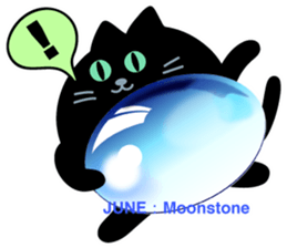 Black cat and Birthstone sticker #13838045